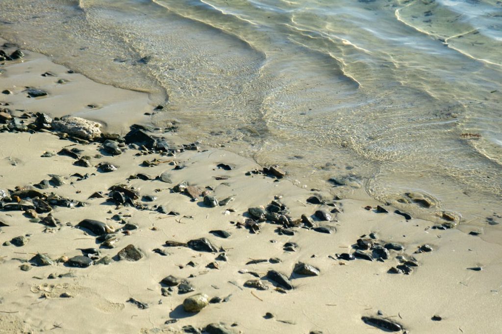 Shell Beach, Australia