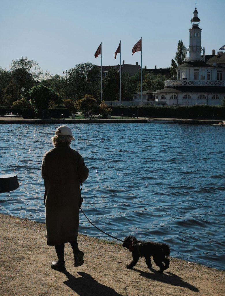 Coastal City With Easy Parks And Waterfront Paths