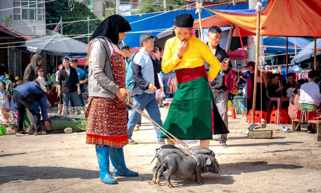 Vibrant Traditional Market Scene with Piglets