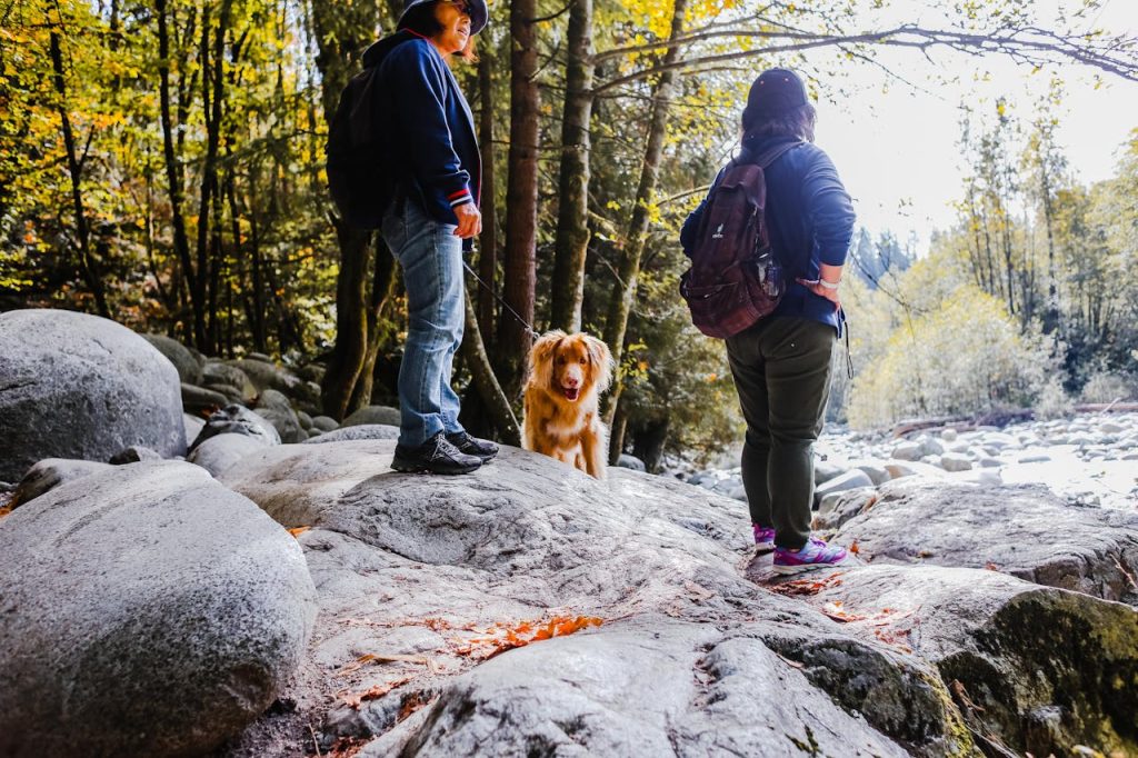 Mountain Cabin Area With Open Trails