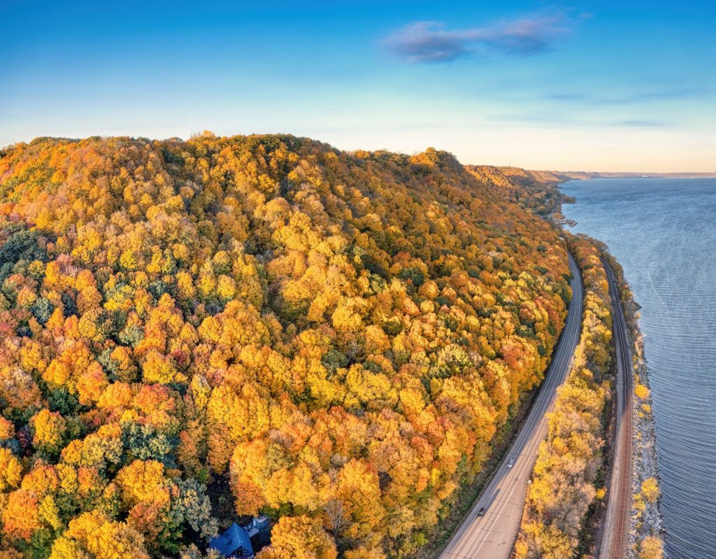 Yellow Forest on Hill in Autumn
