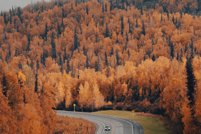 The Most Underrated Highways in the U.S.