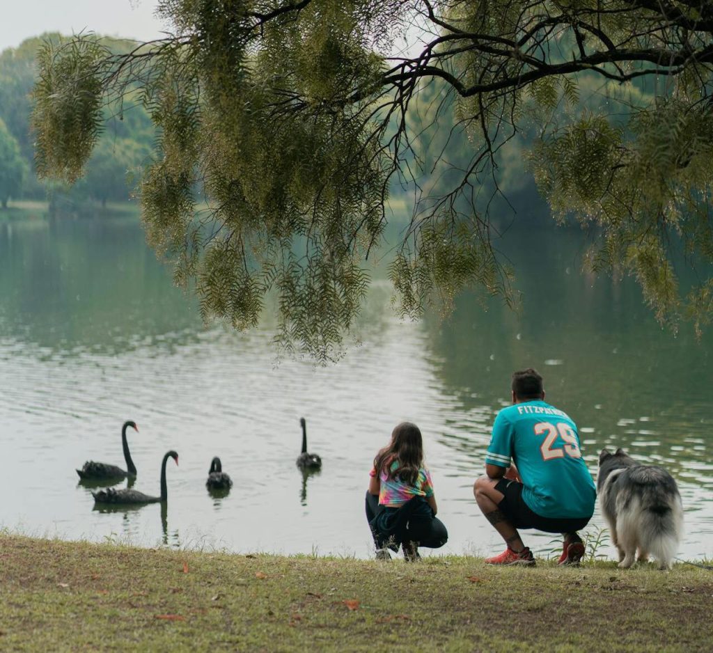 Lake Destination With Pet Rentals And Easy Walks