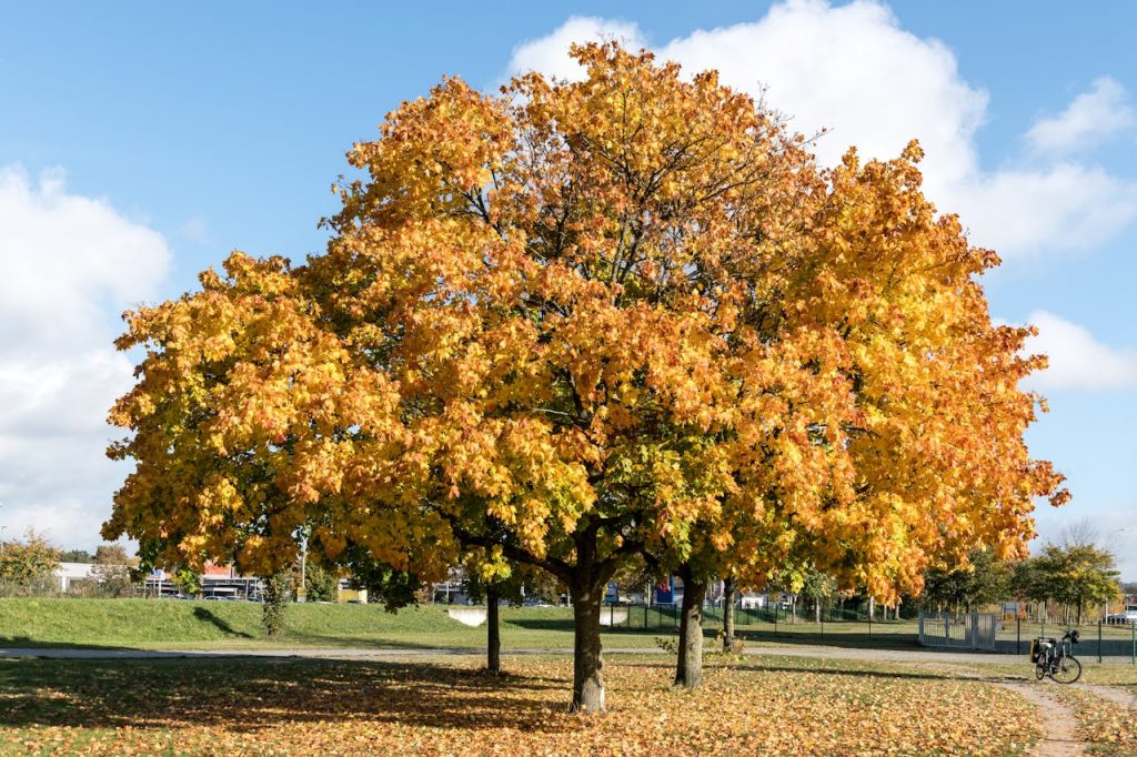 Small Town Festivals That Will Surprise And Delight You ,