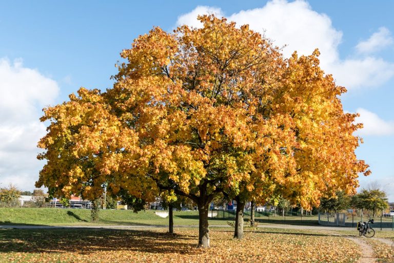 Small Town Festivals That Will Surprise And Delight You ,