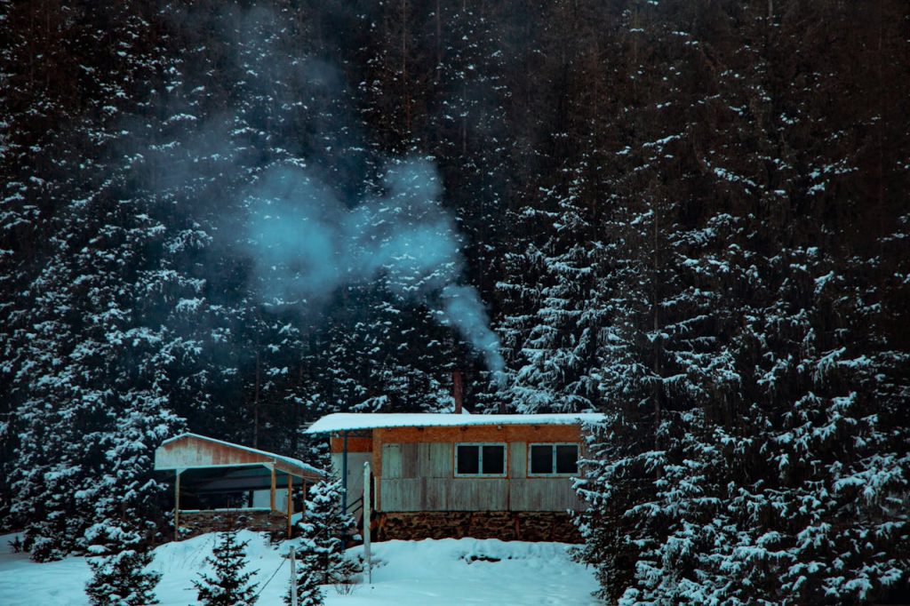 A small cabin with smoke rising from the chimney amid pine trees
