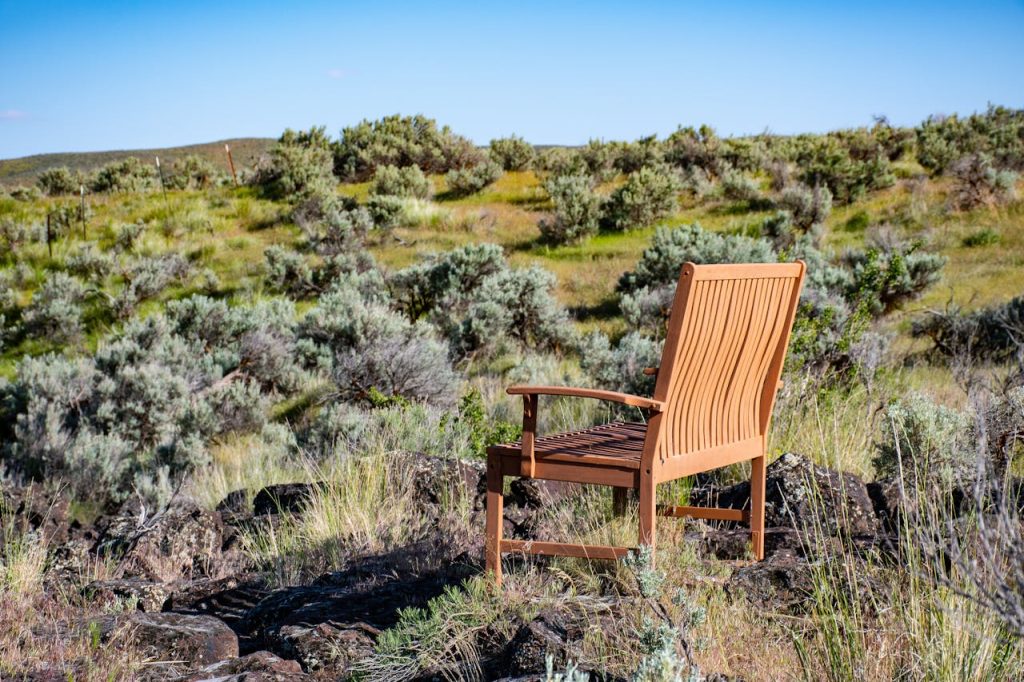 Brown Wooden Armchair on Green Grass
