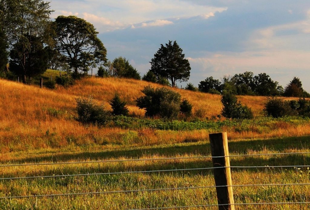 Shenandoah National Park, Virginia