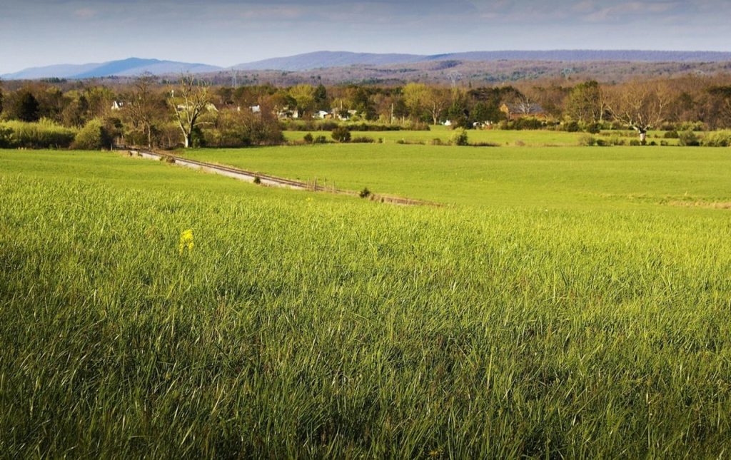 Shenandoah Valley Farm-to-Table Route