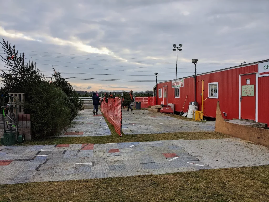 Wilbert’s Tree Farm, Webster