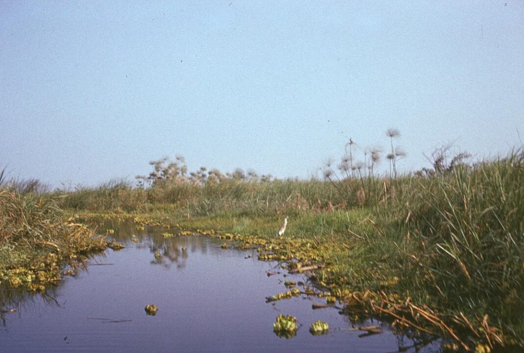 14 “Hidden Gem” Lakes That Are Drying Up Faster Than Expected – Her Life Adventures Lake Chad Basin, Africa