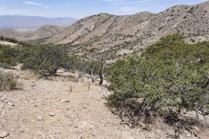 New Mexico High Desert Ridges