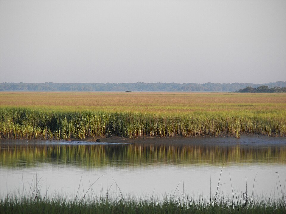 Lowcountry Coast, South Carolina