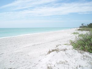 Sanibel And Fort Myers Beach, Florida