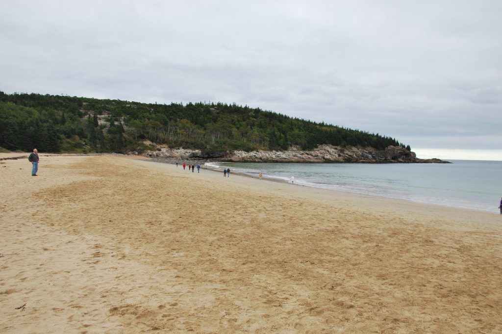 12 National Parks With Accessible Trails for All Ages – Her Life Adventures Acadia national park sand beach z 1