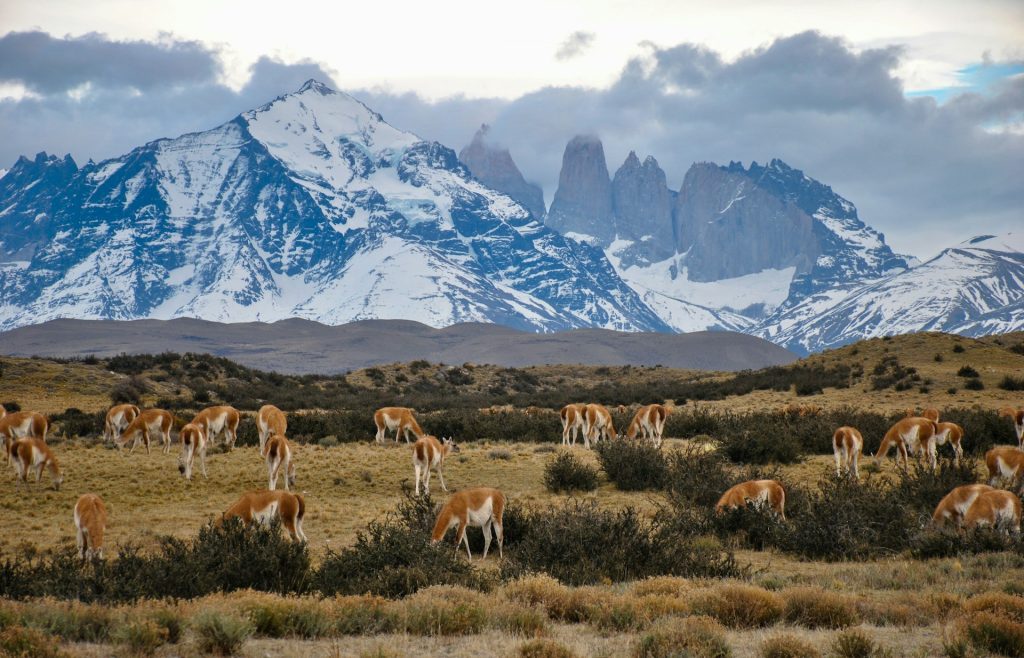 Torres del Paine, Chile