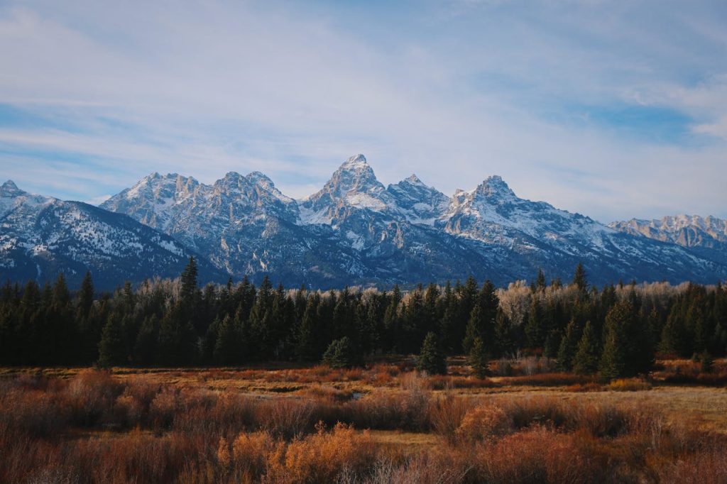 Yellowstone And Grand Teton, Wyoming