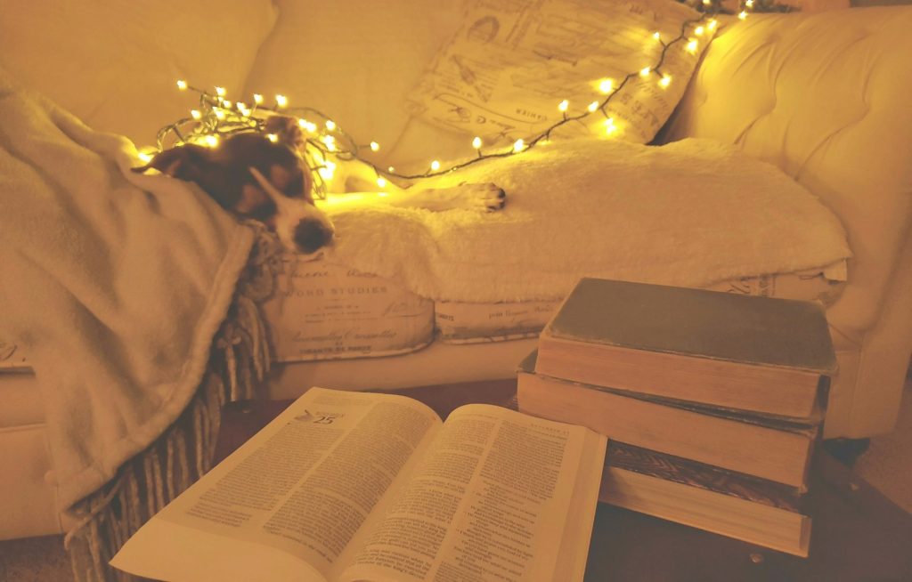 Iceland’s Christmas Book Flood