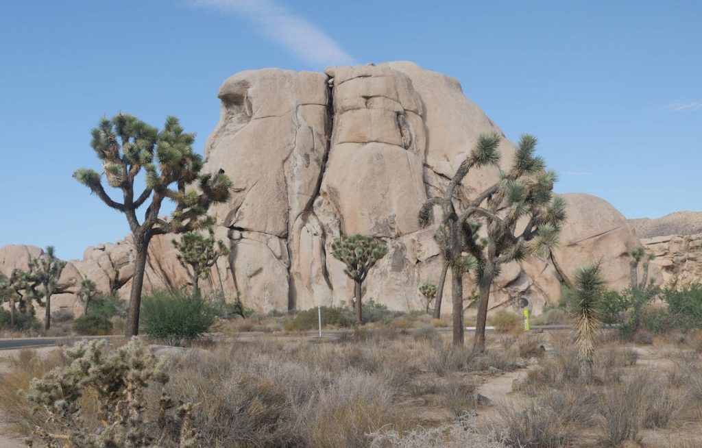 Kindel Media Pexels 1