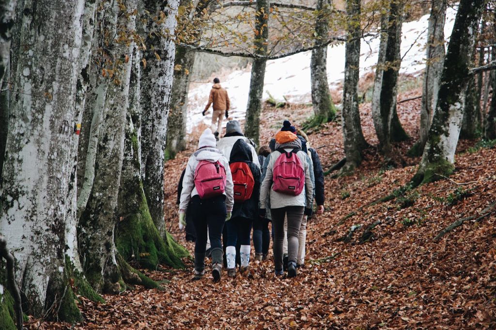 Nature Trips Shut Down In Fall