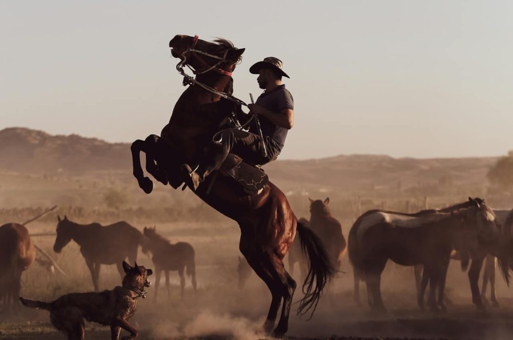 Las Vegas Cowboy Day Excursions