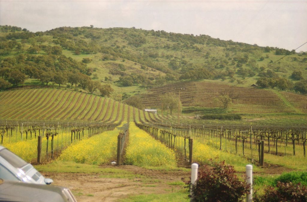 Napa And Sonoma, California
