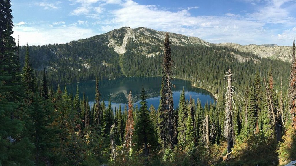 14 U.S. Hideaways Preppers Are Buying Up Before 2027 – Her Life Adventures Idaho Panhandle Forests