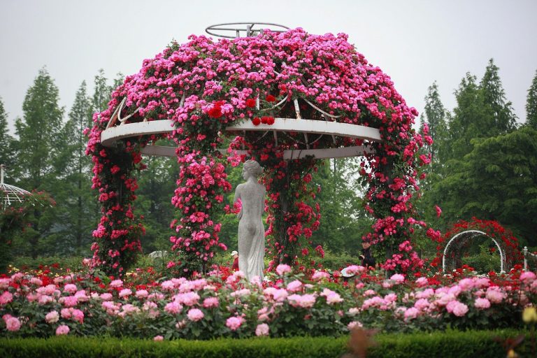 Beautiful Gardens Hosting Flower Festivals Amid Overtourism Fees.