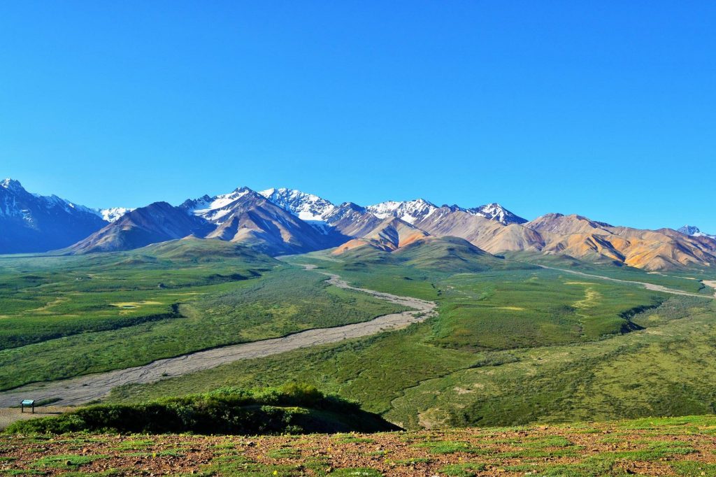 Denali Park Road