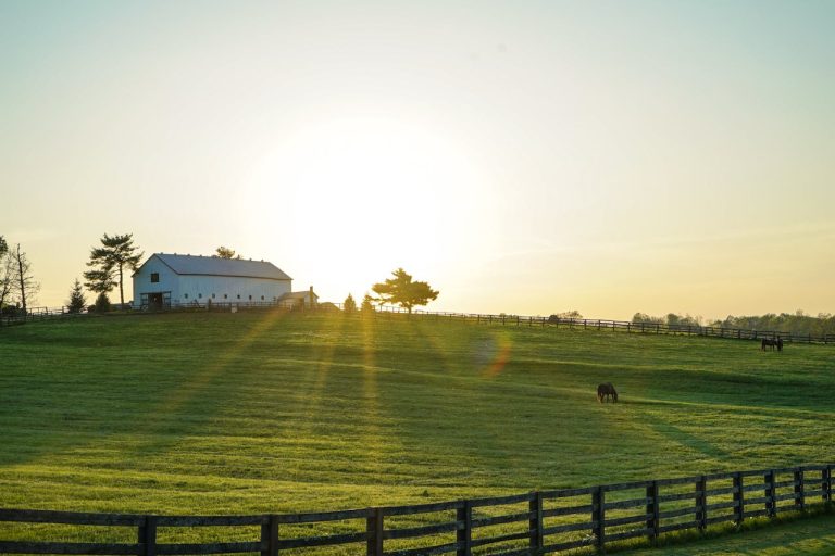 Sprawling Ranches for Group Vacations in America.
