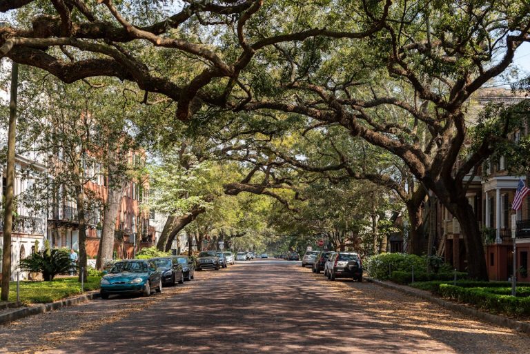 Charming Historic Street in Savannah, Georgia