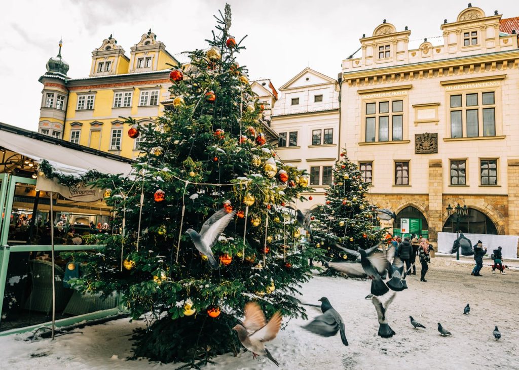 Christmas Tree in a Town Square