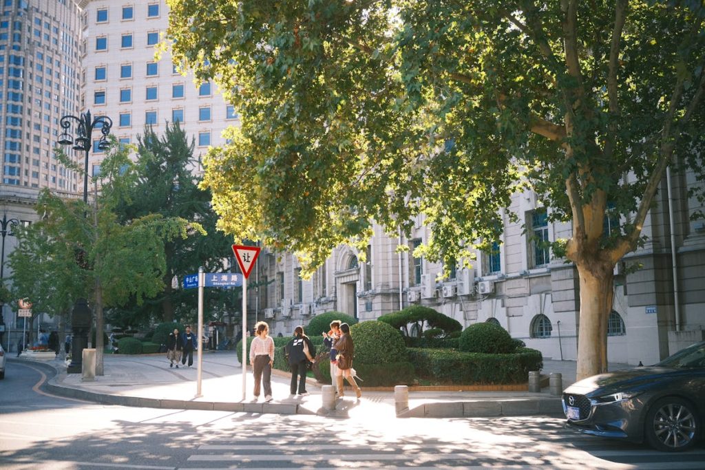 Sunny Urban Street Scene with City Buildings