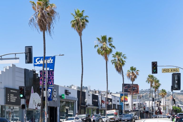 Street Scene on Melrose Avenue with Palm Trees