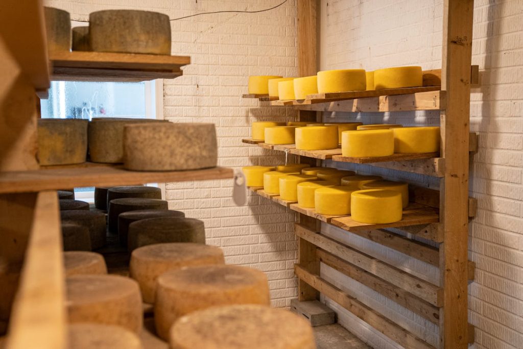 Specialty Cheeses in store