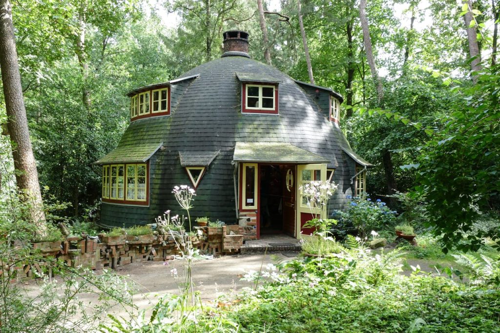 A small eco-friendly lodge surrounded by native plants