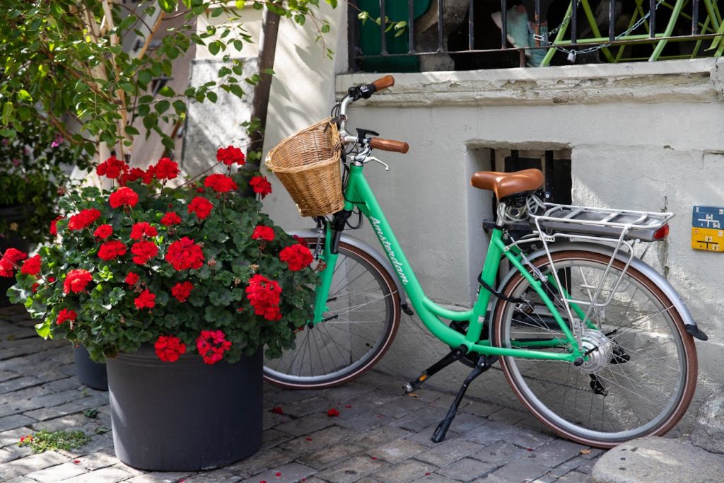 Green Bike Beside Potted Flowering Plant