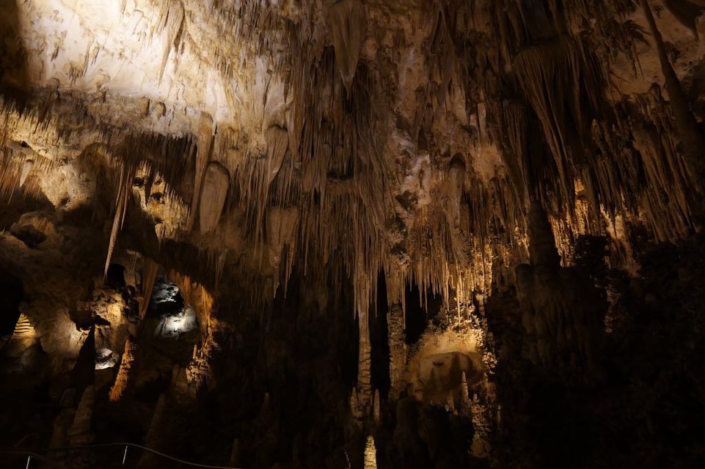Carlsbad Caverns Timed Entry, New Mexico