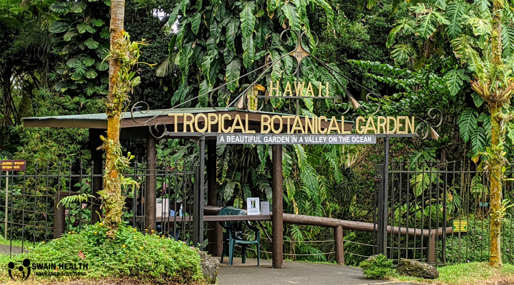 Hawai‘i Tropical Bioreserve And Garden, Hawaii