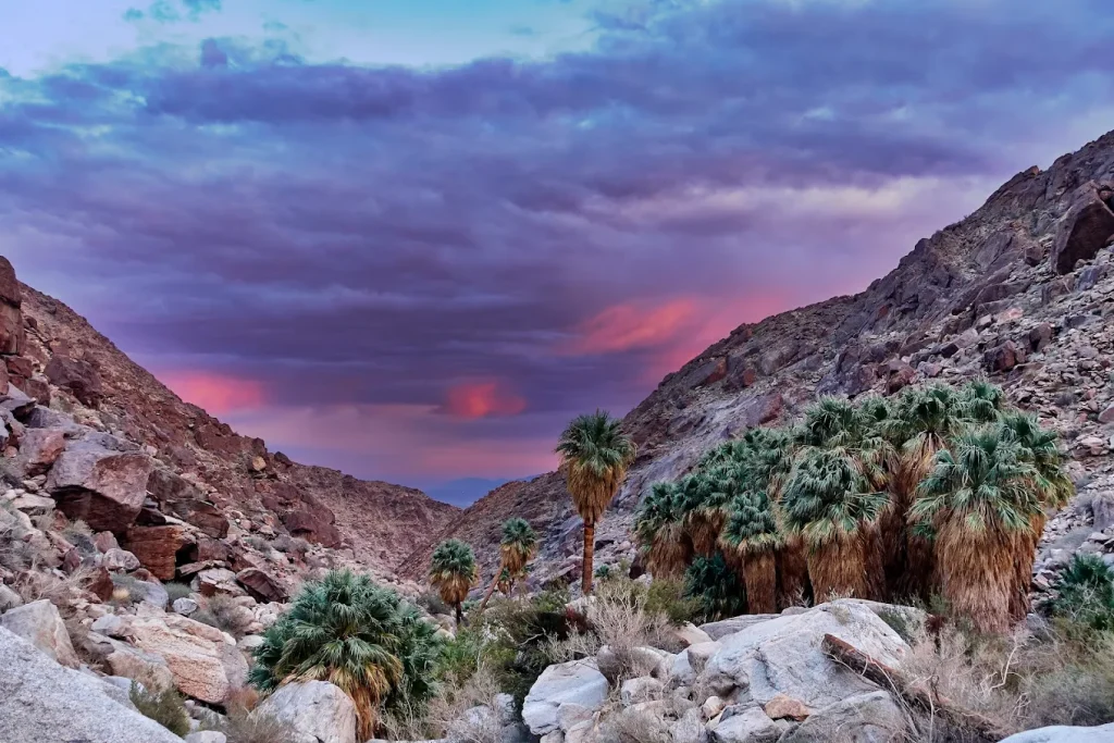 9 Holy Land Sites in America That Look Surprisingly Like Israel – Her Life Adventures Anza-Borrego Desert State Park, California