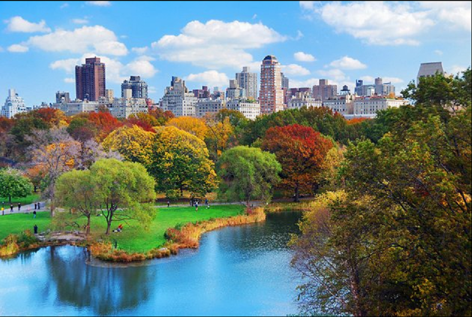 Central Park New York City