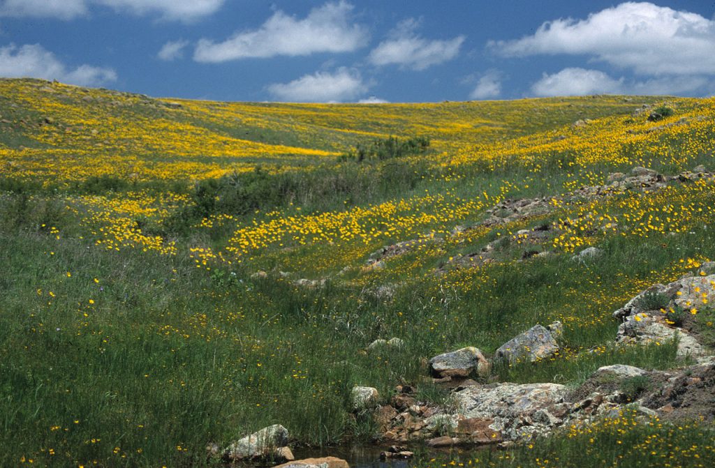 Wichita Mountains Wildlife Refuge, Oklahoma