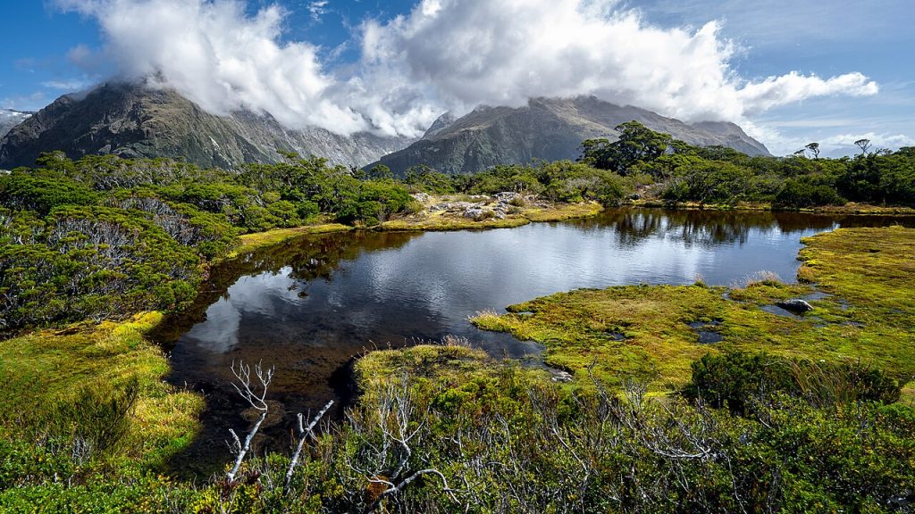 Routeburn Track Through Fiordland And Mount Aspiring