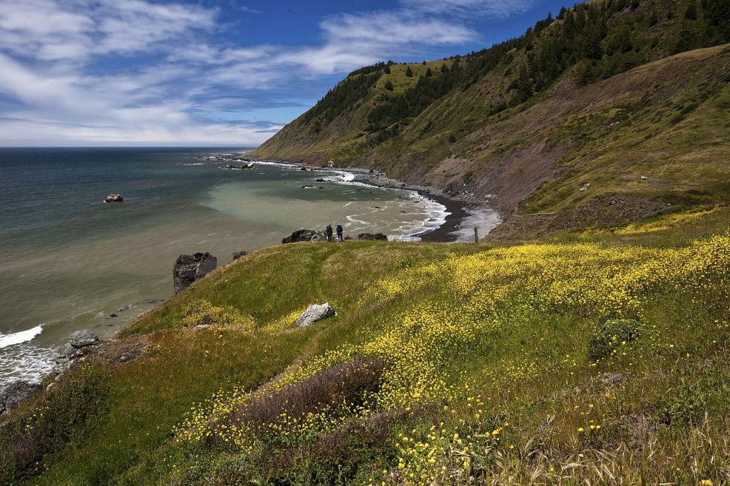 California’s Lost Coast and the King Range
