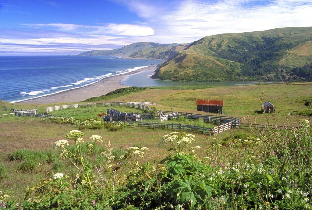 California’s Lost Coast and the King Range