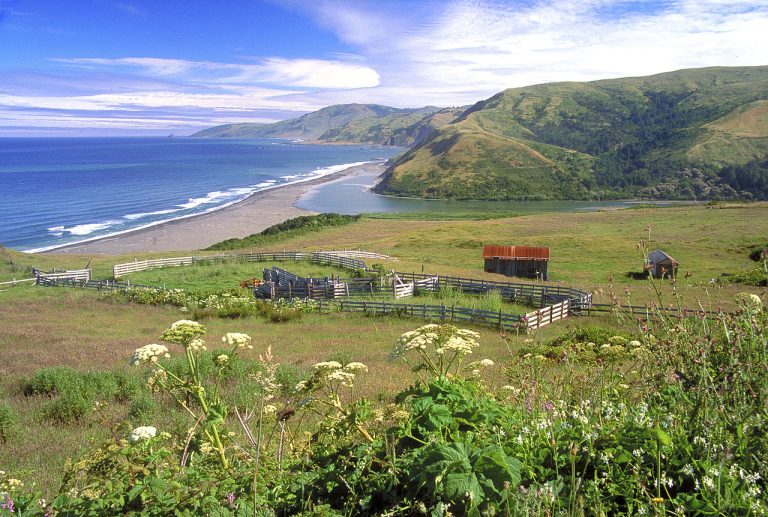 California’s Lost Coast and the King Range