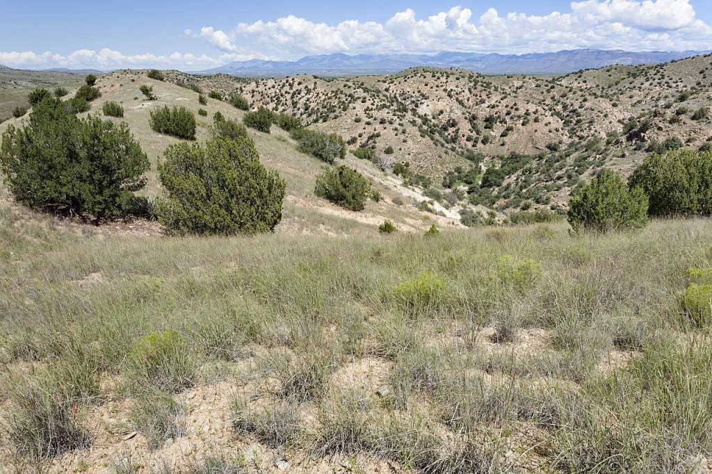 New Mexico’s Gila Country