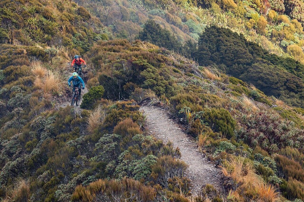 Paparoa Track Across The West Coast Range