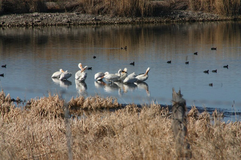 Utah Lake, Utah