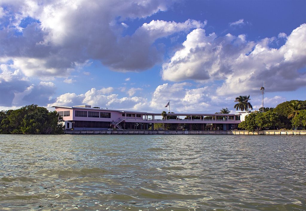 Flamingo Campground In Florida